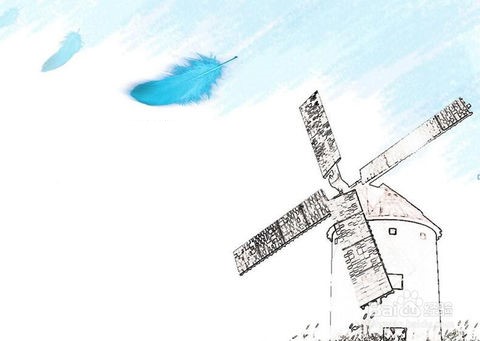 合肥注冊(cè)公司